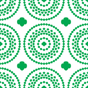 Team Page: GSGC's Mighty Membership Team